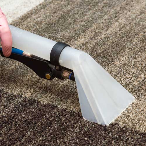 Floor Care | Country Carpet & Furniture