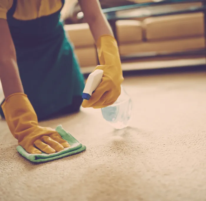 Carpet care | Country Carpet & Furniture